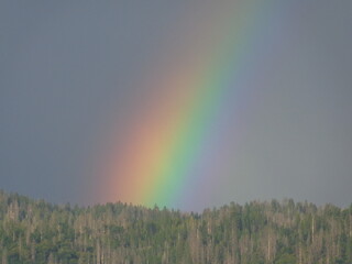 Yosemite National Park
