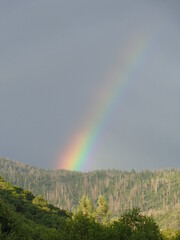 Yosemite National Park