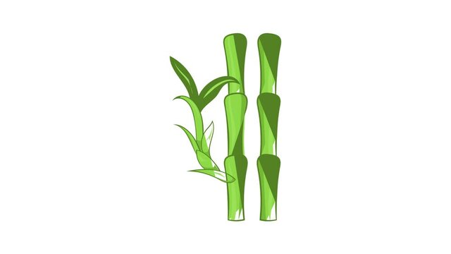 Green bamboo stems icon animation cartoon best object isolated on white background