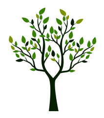 Obraz premium Shape of Tree with leaves. Vector outline Illustration. Plant in Garden.
