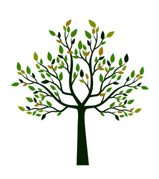 Shape of Tree with leaves.  Vector outline Illustration. Plant in Garden.