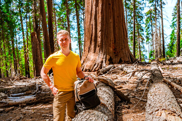 Attractive man tourist with backpack hiking in Sequoia National Park