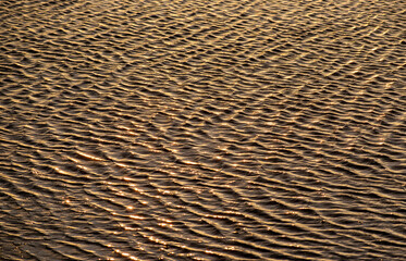 Ripples in the water. Abstract concept.