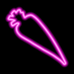 Pink neon carrot silhouette on a black background. Healthy food, vegetable, vegetarian food, natural vitamins