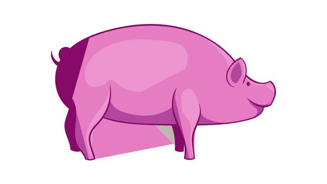 Pig icon animation cartoon best object isolated on white background