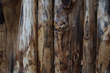 Fototapeta premium old wood texture