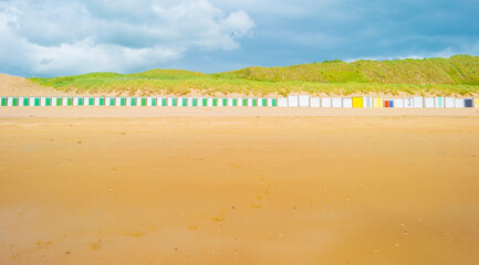 Green grassy dunes along the North Sea coast illuminated by the light of a colorful sun and a blue...