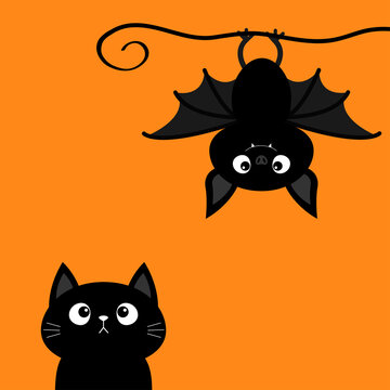 Cute hanging bat. Black cat kitten kitty looking up. Happy Halloween. Cartoon kawaii funny baby animal charater. Greeting card. Flat design. Orange background. Isolated.