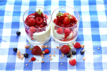 Dessert of granola, yoghurt and smoothies of fresh berries - raspberries, strawberries, currants, strawberries in glass glasses on a tablecloth in a blue and white cage in the garden. The concept of h