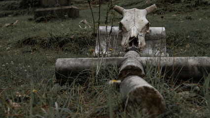 Symbols of death. A ruined grave with a cross and a skull. An old tombstone. The old cemetery in the Catholic style