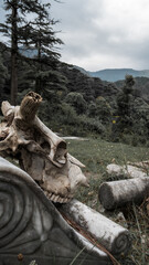 Fototapeta na wymiar Symbols of Death. The grave of the unknown in the old forest cemetery. A skull on a tombstone. 