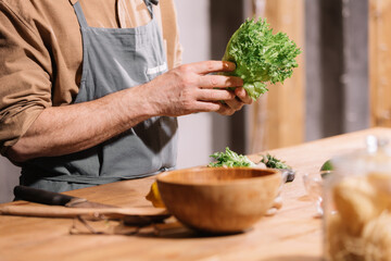 Male hands are holding green lettuce leaves. Cooking in the home kitchen.