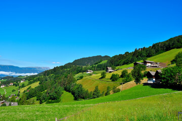 Fototapeta na wymiar alpe di villandro It is the second largest mountain pasture in Europe sud tirolo italy