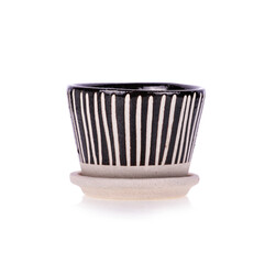 brown cactus pot isolated on white background