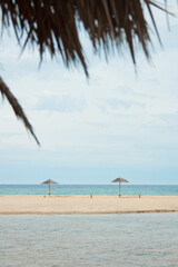 beach with palm trees and umbrellas minimalist