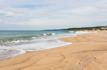 Empty sandy beach and sea with waves