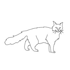 Minimalist Cat in abstract Line art style. Silhouette of walking cute domestic pet. Hand drawn Vector doodle illustration on white isolated background. Design for logo or icon