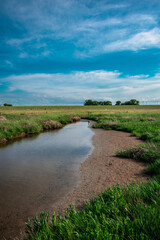 Small pond in a field under the blue sky
