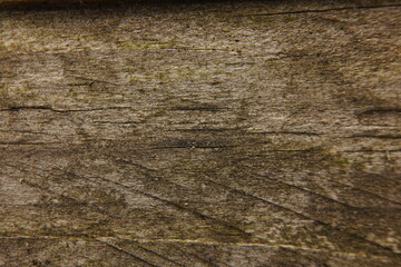 Naklejka premium Gros plan d'une texture de bois foncé et abimé.