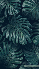 Realistic vector background tropical monstera leaves in dark colors. Hand-drawn palm leaves in vertical wallpaper for phone screens. Screen saver on lock screen, format for posts in social networks © MPetrovska