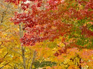 Landscapes of Kansas