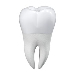 Healthy large molar on a white background. 3d rendering.
