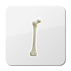 Bones icon. Single high quality symbol of human body for web design or mobile app. Thin line signs of bone for design logo, visit card, etc. pictogram of bone 3d