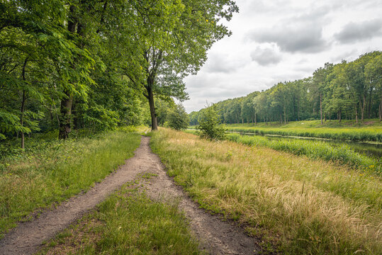 Landscape with a crossroads of three narrow sand paths. To the left is the edge of a forest and to the right is a canal. The photo was taken near the Dutch village of Drunen, province of North Brabant