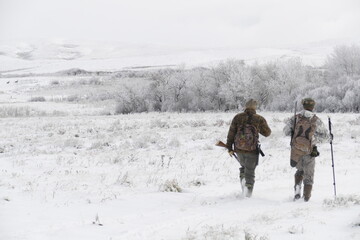 winter, jagd, jäger in tarnleidung, schnee, jäger wandert, durch schnee landschaft, ausschau...