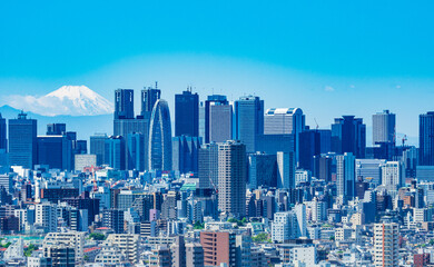 Fototapeta premium 富士山と新宿副都心