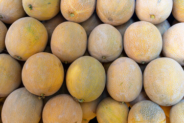 Ripe melon, farmers market stall, harvest sale. Background image with place for text.