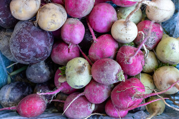 Fresh radish, farmers market counter, harvest sale. Background image. Vegetable supermarket.