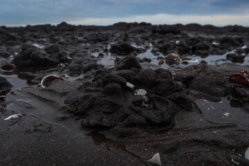 Playa sucia, playa rocosa, suciedad, contaminación