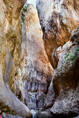 Fototapeta na wymiar Canyons and cliffs carved by the river in Parrizal, near the city of Beceite, in Spain.
