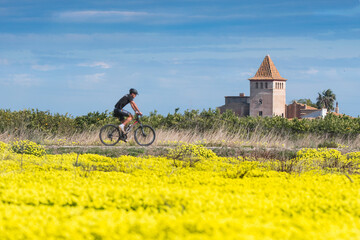 Fototapeta na wymiar Biking on the yellow flowers in Gandia