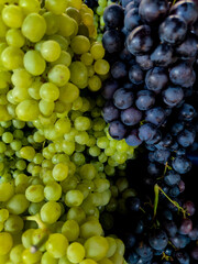 Bunch of different types of fresh grapes