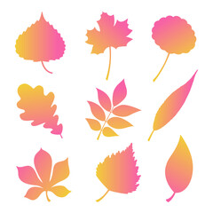 Obraz premium Autumn leaves silhouette set in yellow and pink gradient colors. Maple, rowan, oak, willow, aspen, linden tree and others fall leaves. Isolated on white background. Vector design illustration.
