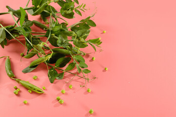 green young peas in pods, freshly picked on a pink background, top view, empty space for text