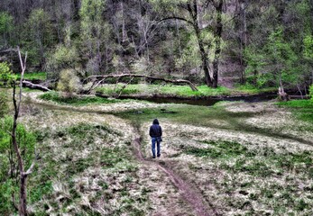 Obraz premium walking in the woods