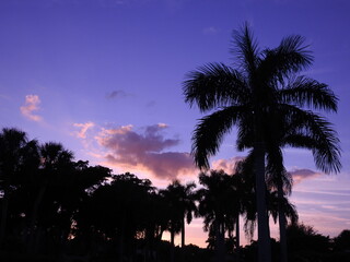 Obraz premium Sunsets