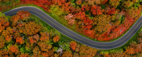 Aerial top view of mountain road in beautiful forest in autumn. Top view from drone of winding road...