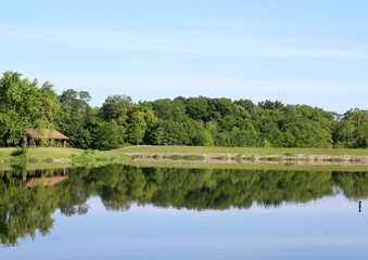 A beautiful view of the lake in the park on a sunny day.