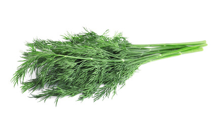 Bunch of fresh dill on white background
