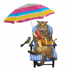 A beige cat on a beach chair is eating a banana sausage under an umbrella. White background....