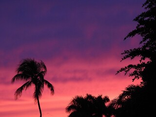 Fototapeta na wymiar Sunsets in Florida