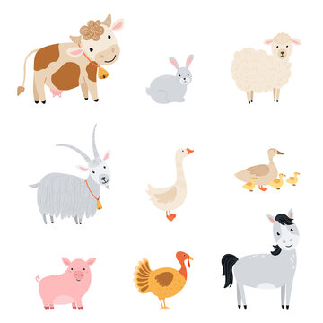 Set farm elements. Collection cute farm animals in a flat style. Illustration with pets cow, horse, pig, goose, rabbit, chicken, goat, sheep, turkey, duck isolated on white background. Vector