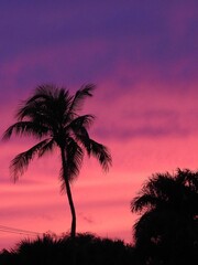 Fototapeta na wymiar Sunsets in Florida