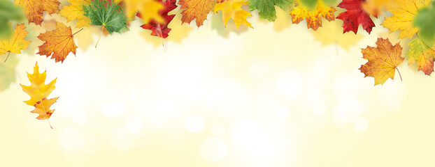 Naklejka na ściany i meble Autumn leaves backdrop