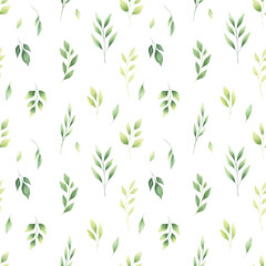 Watercolor seamless pattern with green leaves on white background. Lovely greenery digital background. 