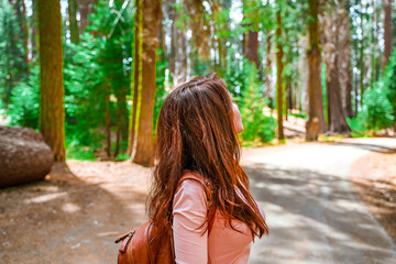 Rear view of a young woman hiking in a picturesque forest in Sequoia National Park, USA